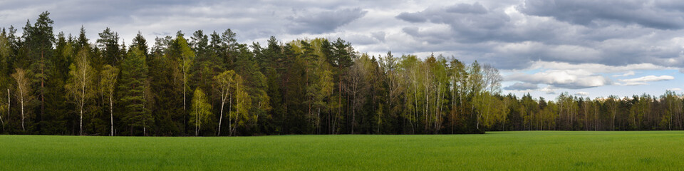 mixed forest behind a green grass field under a cloudy sky. widescreen panoramic photo 20x5 format. scenic woodland landscape. side view