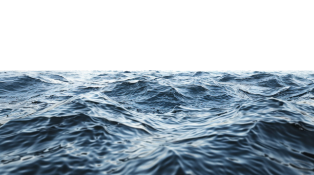 Sea water surface isolated on transparent background cutout. Isolated on white background
