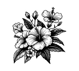 Hibiscus flower hand drawn vector