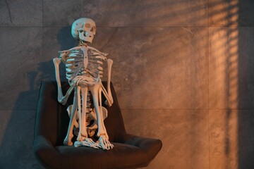 Waiting concept. Human skeleton sitting in armchair indoors, space for text - obrazy, fototapety, plakaty