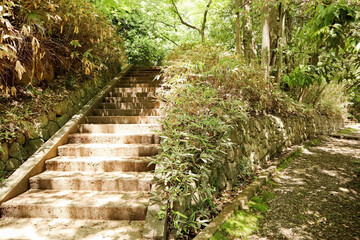 群馬県太田市金山の登山道