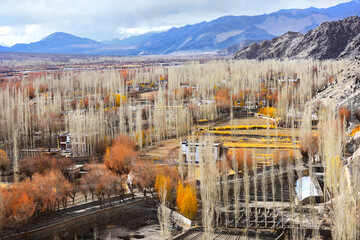 Colorful landscape of the winter in the city of Leh, Ladkh, India.