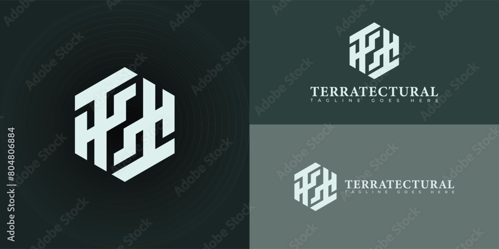 Poster abstract initial hexagon letter t or tt logo in soft green color isolated on multiple background col