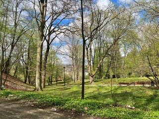 Park in the center of the city. Spring landscape with green trees and grass
