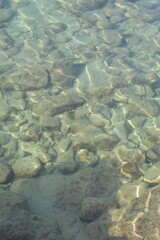 water surface
