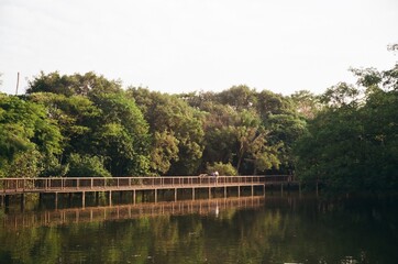 Fototapeta premium Bridge on the lake