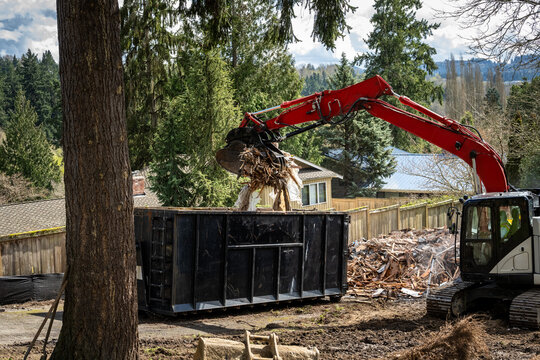 Demolition cleanup and debris removal, heavy equipment with jawbone bucket used to pickup debris and deposit in commercial dumpster for hauling away, residential construction
