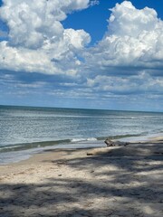 beach and sea