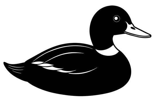 recommend clip art: ruddy duck line art silhouette illustration