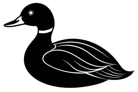 recommend clip art: ruddy duck line art silhouette illustration