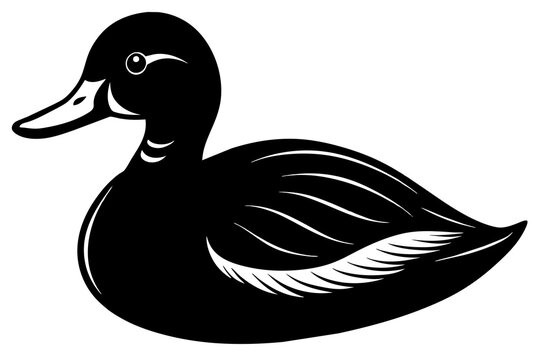 recommend clip art: ruddy duck line art silhouette illustration