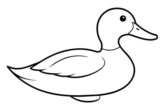 recommend clip art: ruddy duck line art silhouette illustration