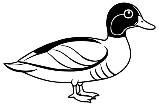 recommend clip art: wood duck line art silhouette illustration