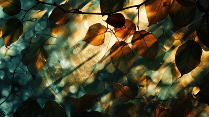 The sunlight is creating a beautiful pattern of circles on the ground as it shines through the leaves of a terrestrial plant AIG50