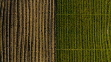 half plowed field