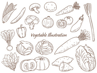 手描きの野菜のセット線画_ベクターイラスト