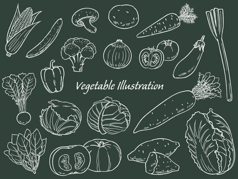 手描きの野菜のセット線画_黒板風_ベクターイラスト