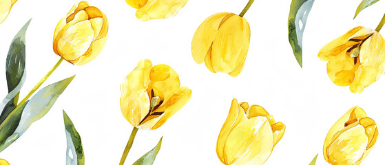 Top view yellow tulip seamless water color on white background.