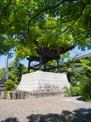 春の證誠寺