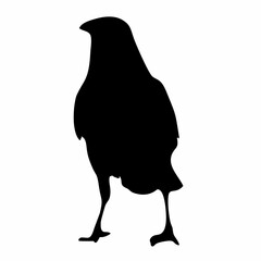 black silhouette of a crow