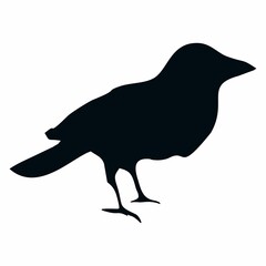 black silhouette of a crow