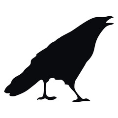 black silhouette of a crow