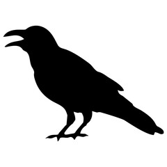 black silhouette of a crow