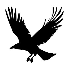 black silhouette of a crow