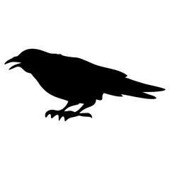 black silhouette of a crow