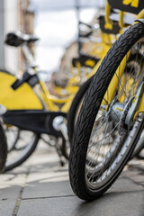 Close up of tires of bikes for rent in city