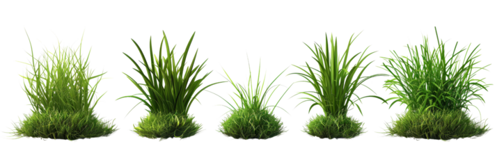 set of multiple grass png