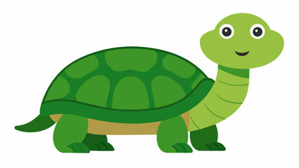 old tortoise vector illustration