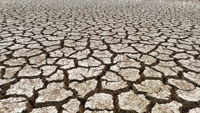 Behold the aerial vista, Earth, dessicated and cracked, speaks volumes of drought's merciless touch. Sparse vegetation punctuates the barren landscape, a stark reminder of nature's fragility.
