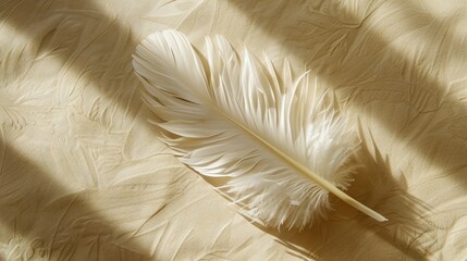A white feather rests on a beige cloth.
