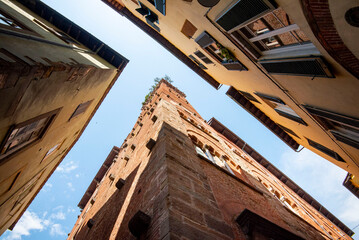 Guinigi Tower - Lucca - Italy