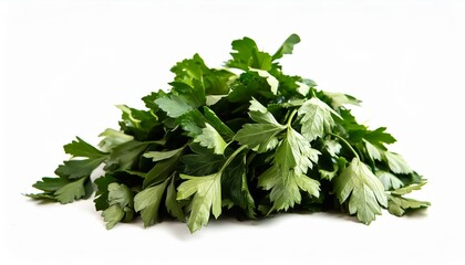 Obraz premium Isolated white background of fresh green vegan vitamin parsley
