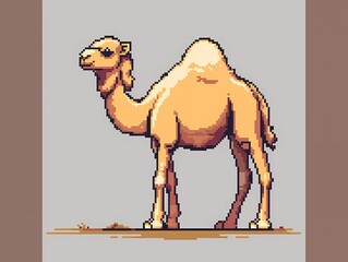 8-bit pixel cute camel, pixel art vector illustration