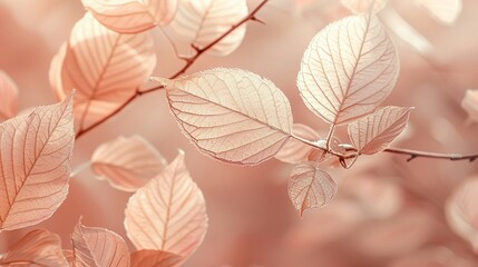 Envision a macroshot capturing the delicate texture of rose petals, each one tinted in a subtle peach fuzz color tone, creating a soft and inviting floral background AI Generate