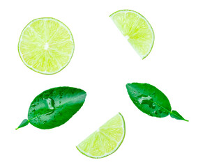 Top view set of green lemon slices or quarter with leaves and drops scattered isolated on white background with clipping path