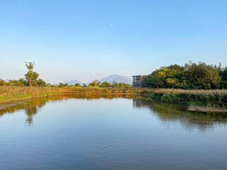 Serene Lakefront View with Lush Greenery and Modern Bird Hide, Wetland Park, Hong Kong