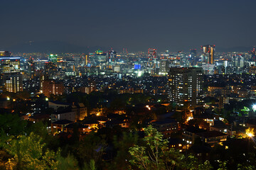 Panoramic views of modern city illuminated in a neon spectrum.