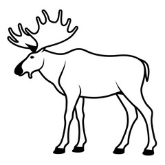deer illustration