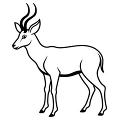 Fototapeta premium silhouette of a deer