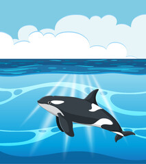 Vector illustration of an orca in blue waters.