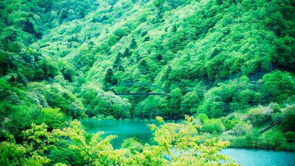Fototapeta na wymiar 秘境の地で見つけた木々と湖