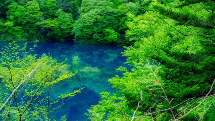 青い湖と木々のリフレクション