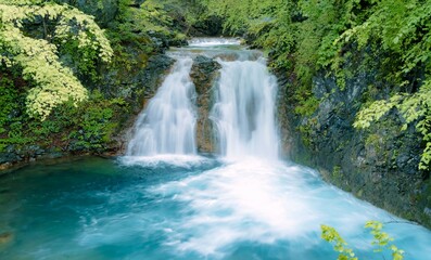 秘境の地で見つけた滝