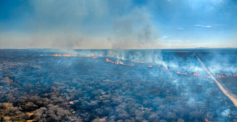 aerial bush fire africa, natural disaster, deforestation to plant crops, controlled burning