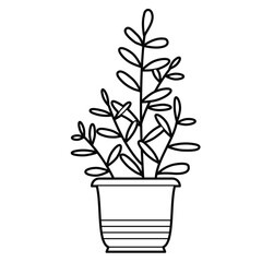 Houseplant in a pot. Outline illustration, design elements or page of coloring book