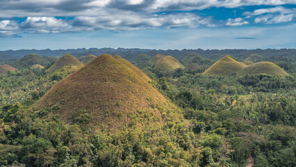 Rows of unusual round conical hills covered with brownish grass stretch to the horizon. Thickets of...